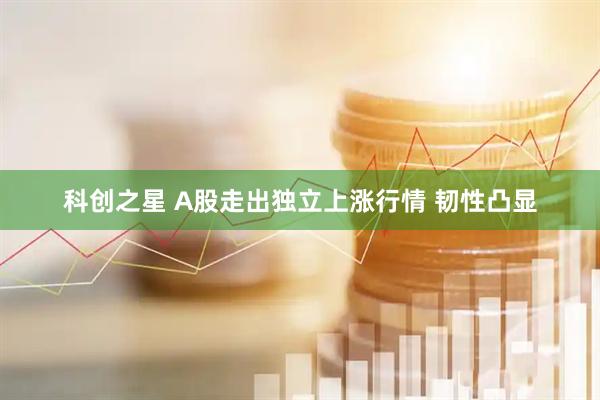 科创之星 A股走出独立上涨行情 韧性凸显