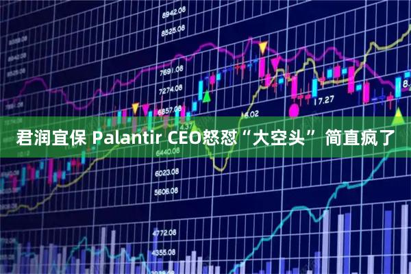 君润宜保 Palantir CEO怒怼“大空头” 简直疯了
