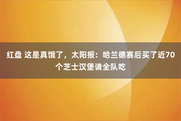 红盘 这是真饿了，太阳报：哈兰德赛后买了近70个芝士汉堡请全队吃