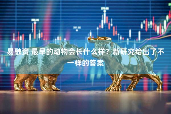 易融资 最早的动物会长什么样？新研究给出了不一样的答案