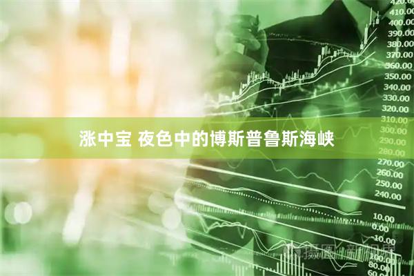 涨中宝 夜色中的博斯普鲁斯海峡