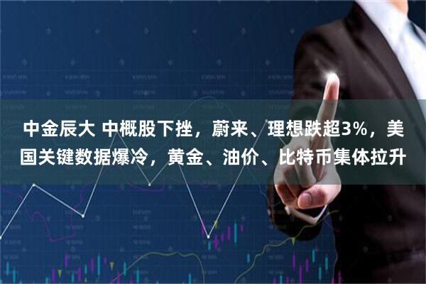 中金辰大 中概股下挫，蔚来、理想跌超3%，美国关键数据爆冷，黄金、油价、比特币集体拉升
