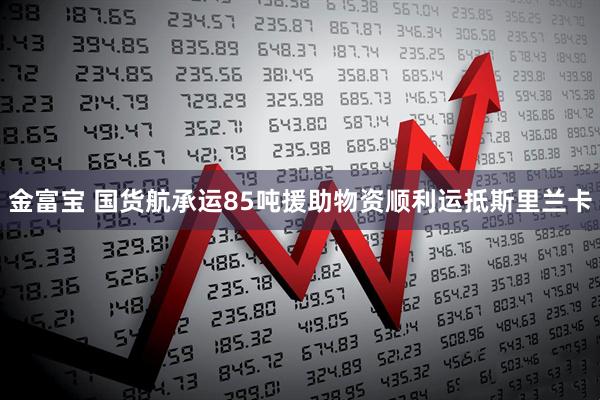 金富宝 国货航承运85吨援助物资顺利运抵斯里兰卡