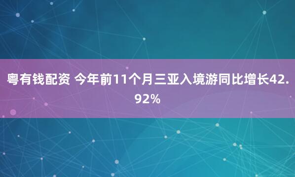 粤有钱配资 今年前11个月三亚入境游同比增长42.92%