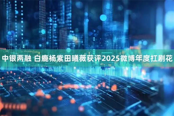 中银两融 白鹿杨紫田曦薇获评2025微博年度扛剧花
