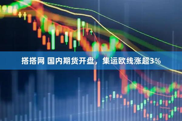 搭搭网 国内期货开盘，集运欧线涨超3%