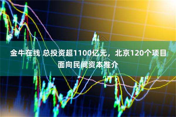 金牛在线 总投资超1100亿元，北京120个项目面向民间资本推介