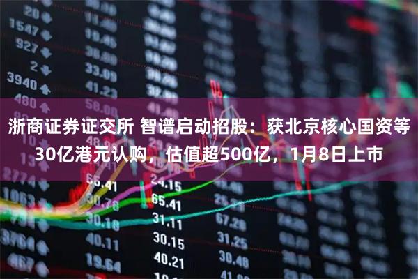 浙商证券证交所 智谱启动招股：获北京核心国资等30亿港元认购，估值超500亿，1月8日上市
