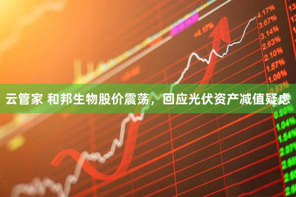 云管家 和邦生物股价震荡，回应光伏资产减值疑虑