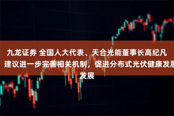 九龙证券 全国人大代表、天合光能董事长高纪凡：建议进一步完善相关机制，促进分布式光伏健康发展