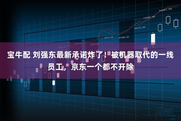 宝牛配 刘强东最新承诺炸了！被机器取代的一线员工，京东一个都不开除